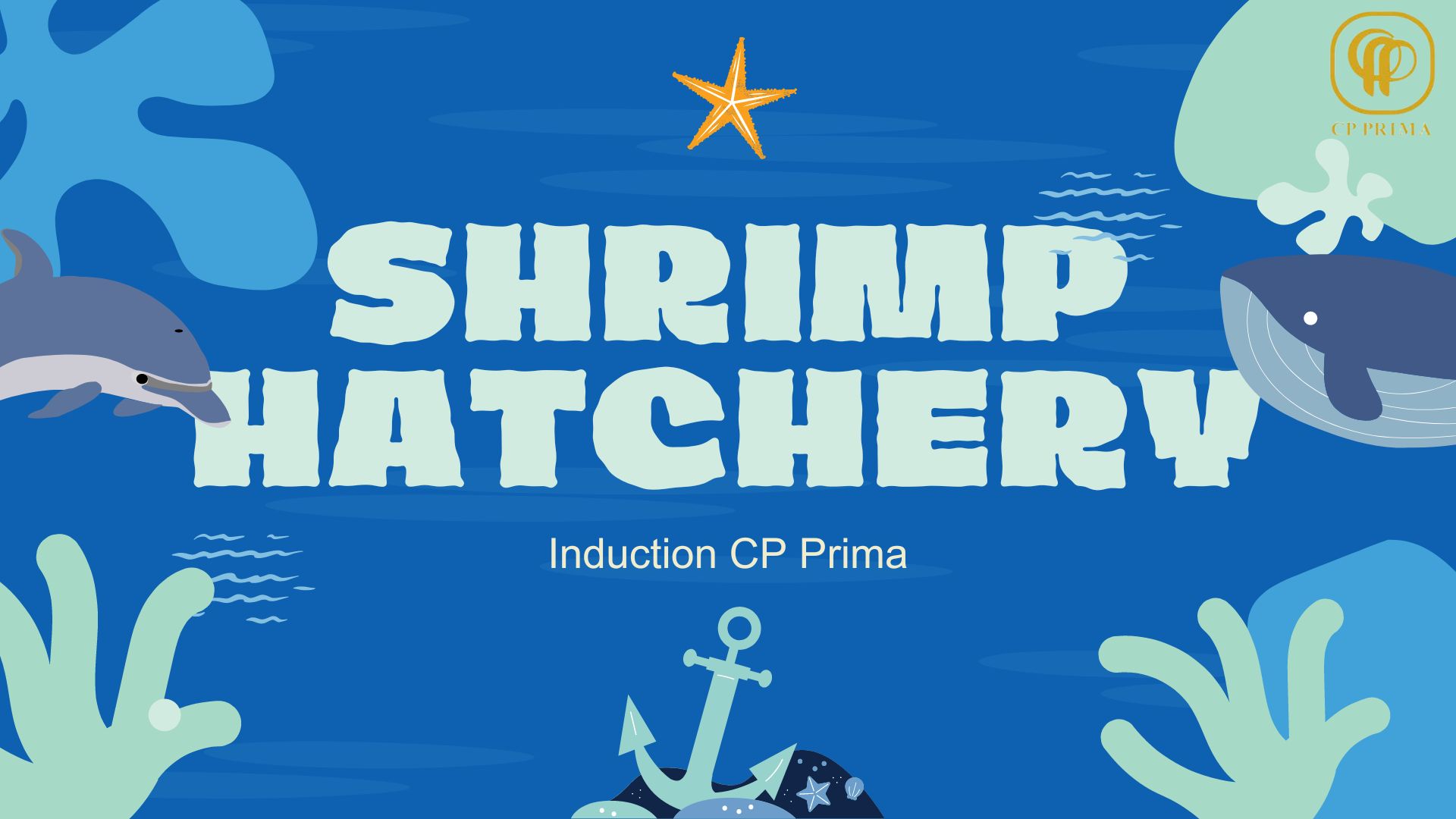 Shrimp Hatchery